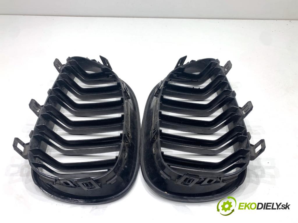 BMW E60 sedan 2004 170 kW 530 i 2979 Mriežka maska  (Mriežka predná (maska chladiča))