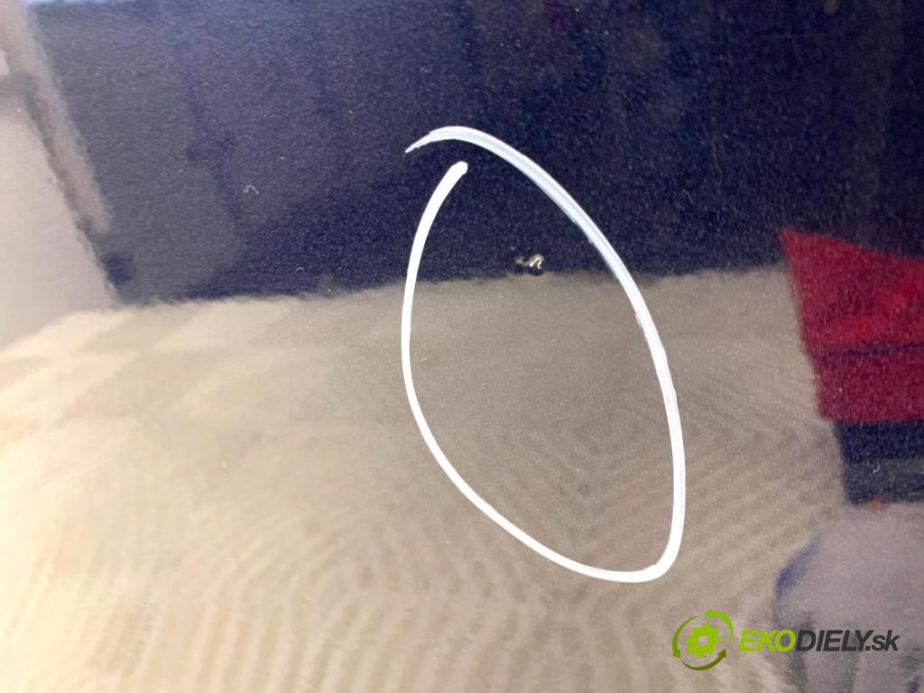 VW PASSAT B7 Kombi 2011 125 kW 2.0 TDI 1968 Dvere pravy predný