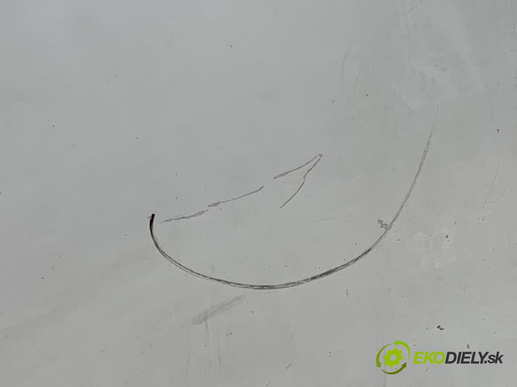 VW TRANSPORTER T5 Autobus 2014 75 kW 1.9 TDI 1896 Dvere pravy predný