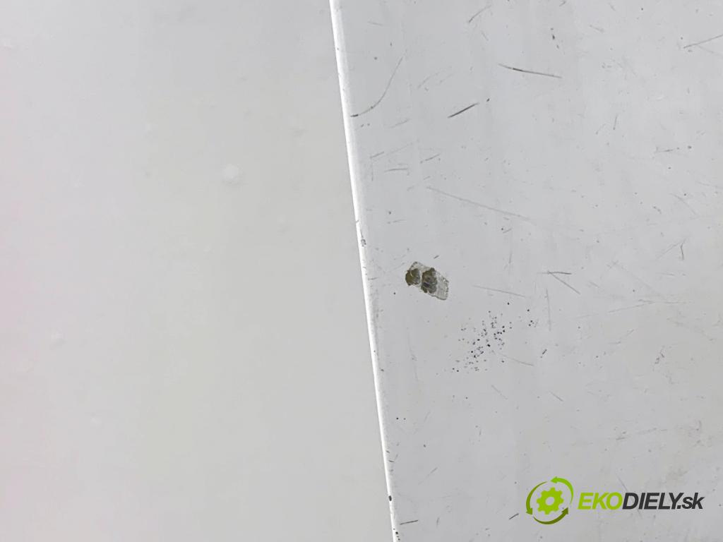 VW TRANSPORTER T5 Autobus 2014 75 kW 1.9 TDI 1896 Dvere pravy predný