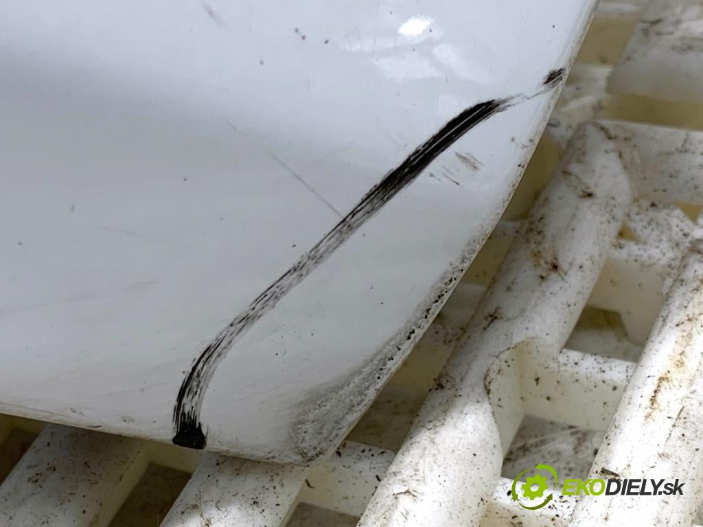 VW TRANSPORTER T5 Autobus 2014 75 kW 1.9 TDI 1896 Blatník pravy predný