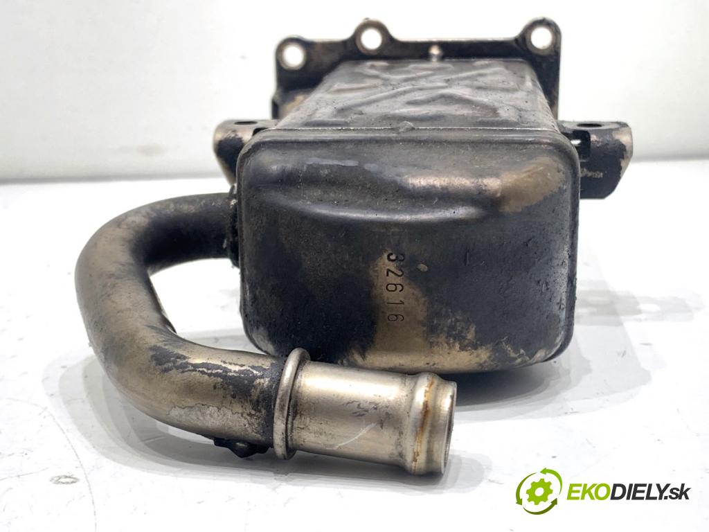 VW SHARAN nadwozie wielkoprzestrzenne (MPV) 2011 103 kW 2.0 TDI 1968 Chladič EGR 03L131512DQ