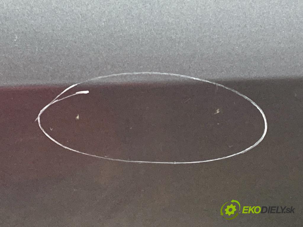 RENAULT CLIO III liftback 2006 55 kW 1.2 16V (BR02, BR0J, BR11, CR02, CR0J, CR11) 1149 Dvere pravy predný