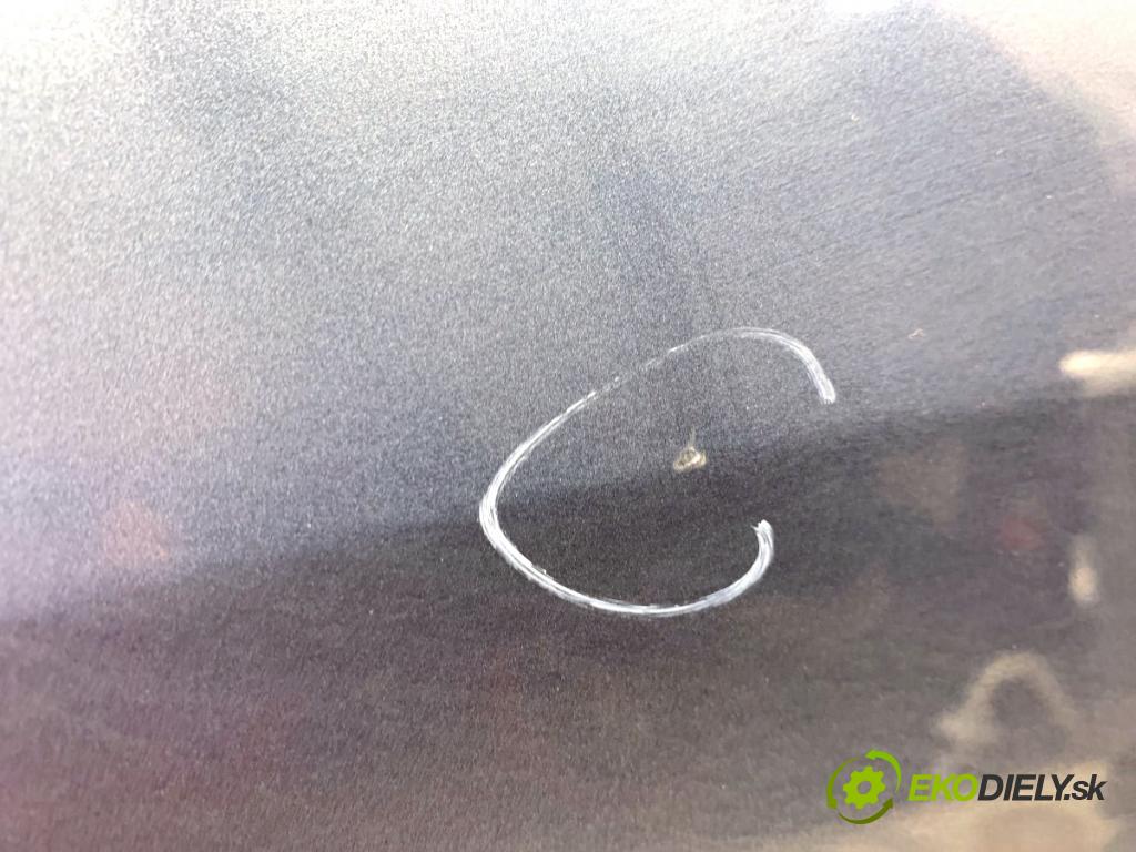 RENAULT CLIO III liftback 2006 55 kW 1.2 16V (BR02, BR0J, BR11, CR02, CR0J, CR11) 1149 Dvere ľavy predný