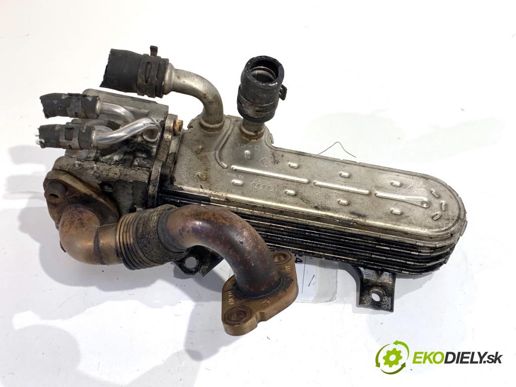 VW TOURAN nadwozie wielkoprzestrzenne (MPV) 2006 77 kW 1.9 TDI 1896 Chladič EGR 038131513AD