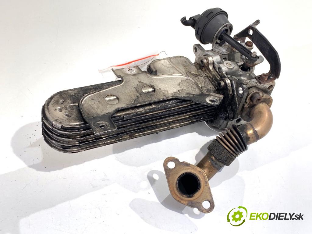 VW TOURAN nadwozie wielkoprzestrzenne (MPV) 2006 77 kW 1.9 TDI 1896 Chladič EGR 038131513AD
