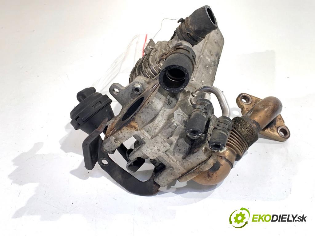 VW TOURAN nadwozie wielkoprzestrzenne (MPV) 2006 77 kW 1.9 TDI 1896 Chladič EGR 038131513AD