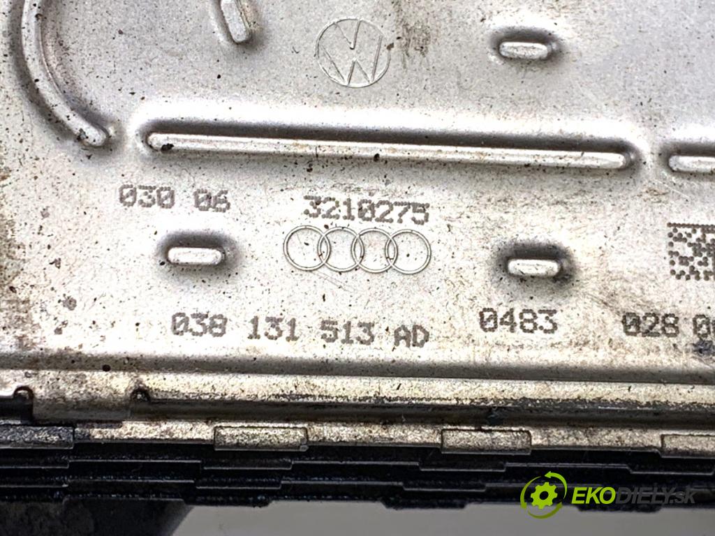 VW TOURAN nadwozie wielkoprzestrzenne (MPV) 2006 77 kW 1.9 TDI 1896 Chladič EGR 038131513AD