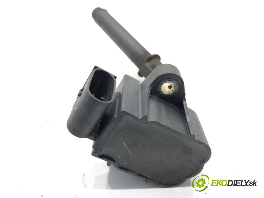 DACIA DUSTER SUV 2019 96 kW 1.3 TCe 130 (HMMF) 1332 Cievka zapaľovacia 224332935R (Zapaľovacia cievka)