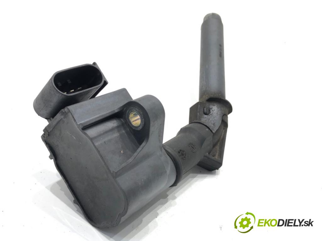 DACIA DUSTER SUV 2019 96 kW 1.3 TCe 130 (HMMF) 1332 Cievka zapaľovacia 224332935R (Zapaľovacia cievka)