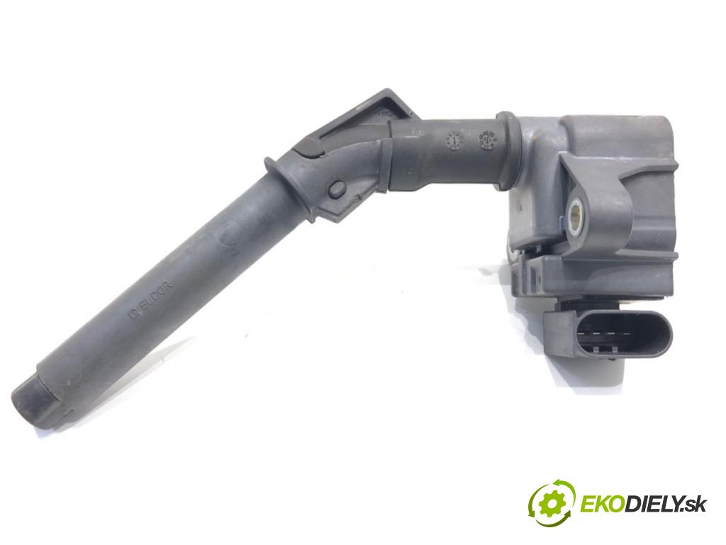 DACIA DUSTER SUV 2019 96 kW 1.3 TCe 130 (HMMF) 1332 Cievka zapaľovacia 224332935R (Zapaľovacia cievka)