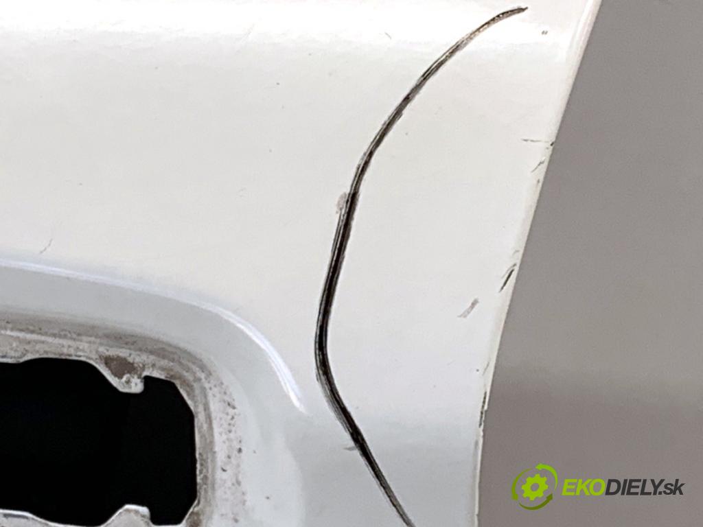 NISSAN QASHQAI J11 SUV 2014 96 kW 1.6 dCi 1598 Dvere ľavy predný 326G