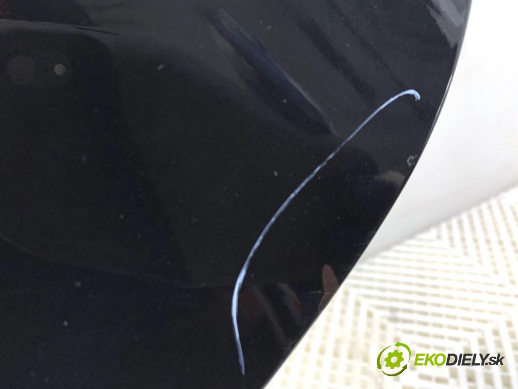 FIAT PANDA II liftback 2010 40 kW 1.1 (169.AXA1A) 1108 Dvere ľavy zad