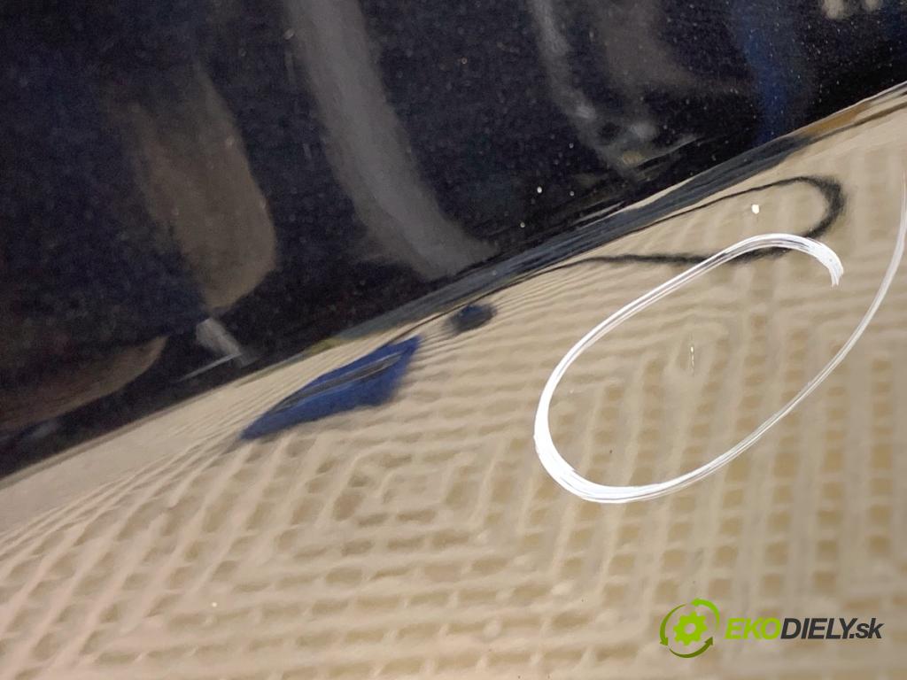 FIAT PANDA II liftback 2010 40 kW 1.1 (169.AXA1A) 1108 Dvere ľavy predný