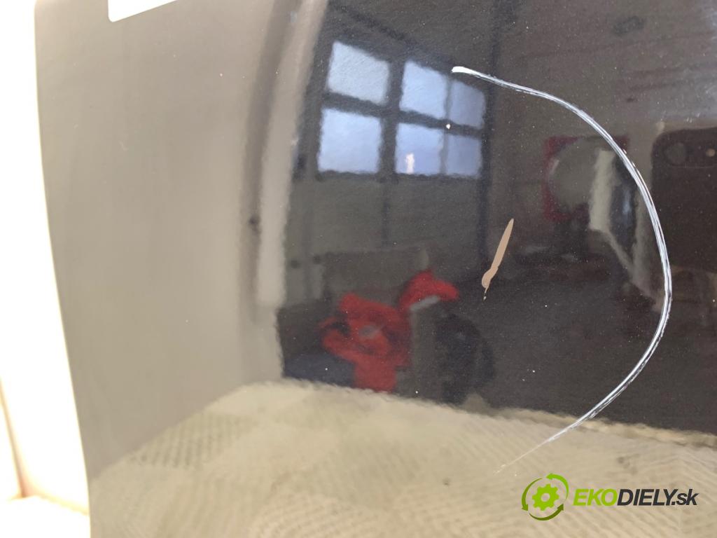 FIAT PANDA II liftback 2010 40 kW 1.1 (169.AXA1A) 1108 Dvere ľavy predný