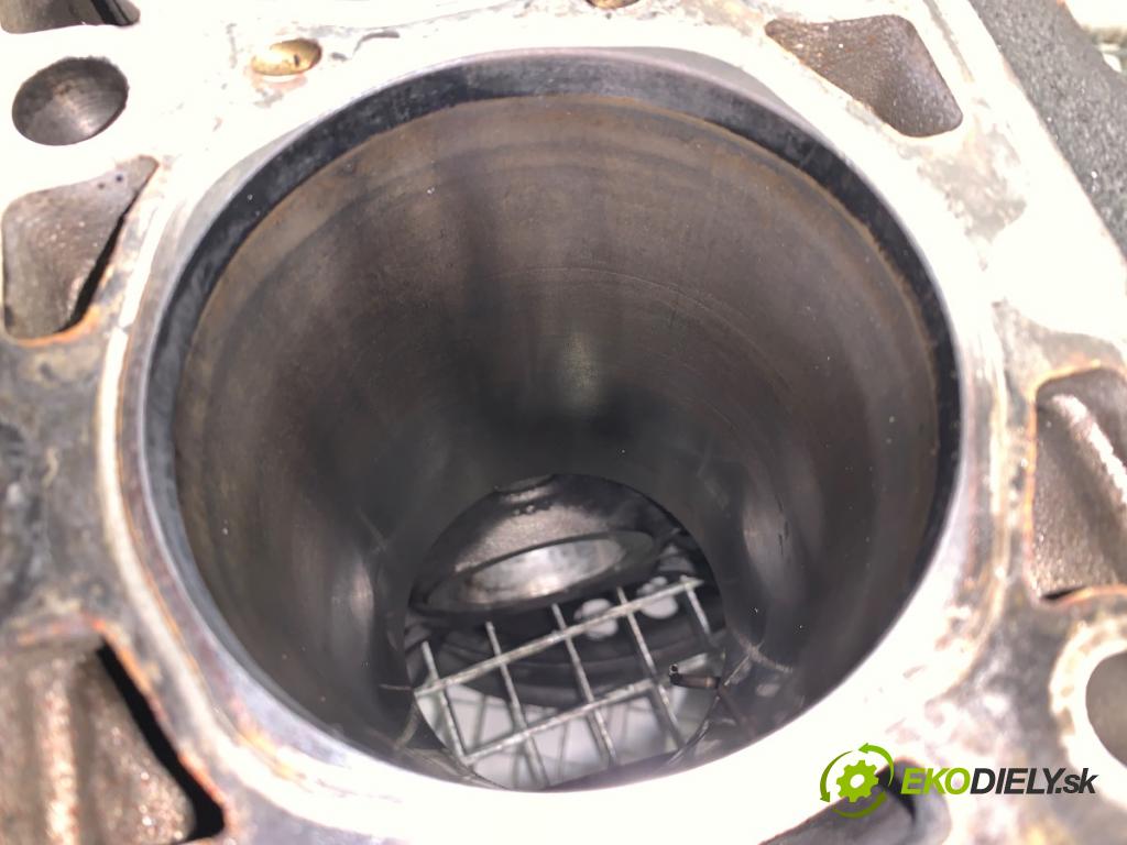 FIAT DUCATO III Autobus 2009 115 kW 160 Multijet 3,0 D 2999 blok Motor  (Blok motora)