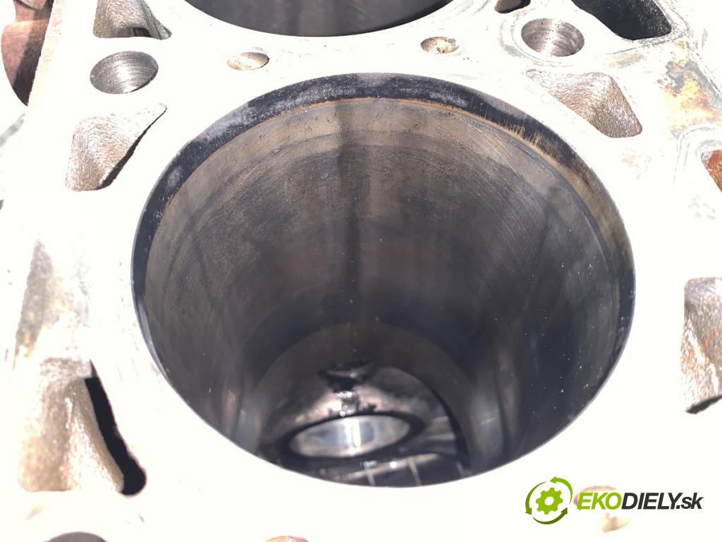 FIAT DUCATO III Autobus 2009 115 kW 160 Multijet 3,0 D 2999 blok Motor  (Blok motora)