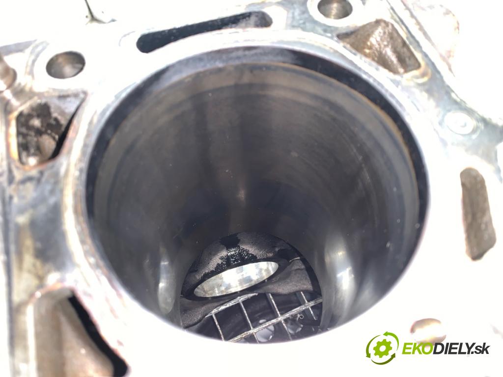 FIAT DUCATO III Autobus 2009 115 kW 160 Multijet 3,0 D 2999 blok Motor  (Blok motora)