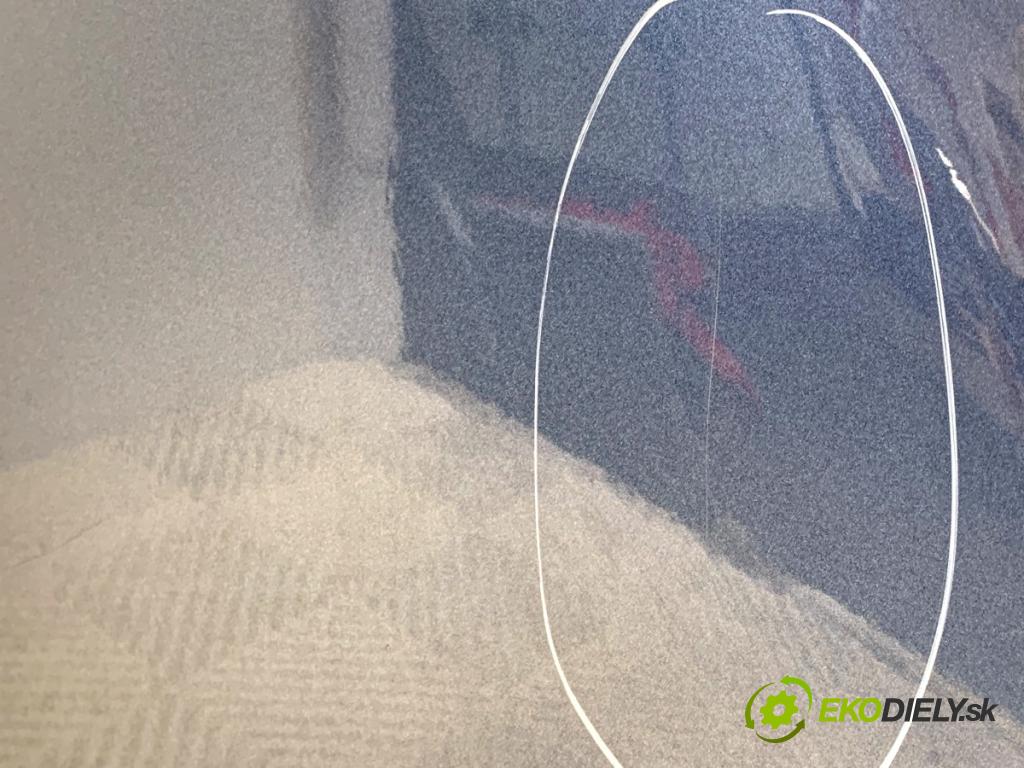 FORD FIESTA MK8 liftback 2021 55 kW 1.1 Ti-VCT 1084 Dvere ľavy zad