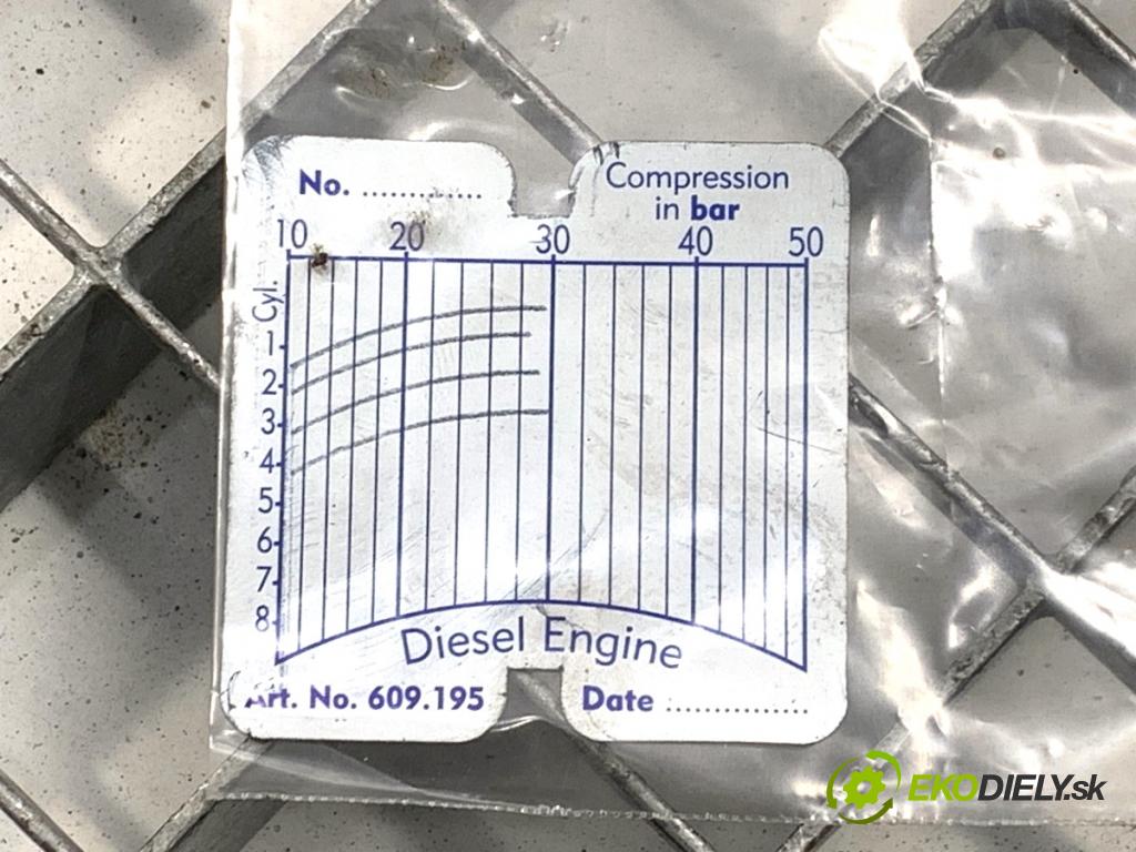 VW GOLF V Kombi 2008 77 kW 1.9 TDI 1896 Motor BLS (Motor)