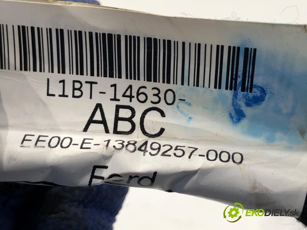 FORD FIESTA MK8 liftback 2021 55 kW 1.1 Ti-VCT 1084 káblovačka dveře přední část pravý L1BT-14630-ABC