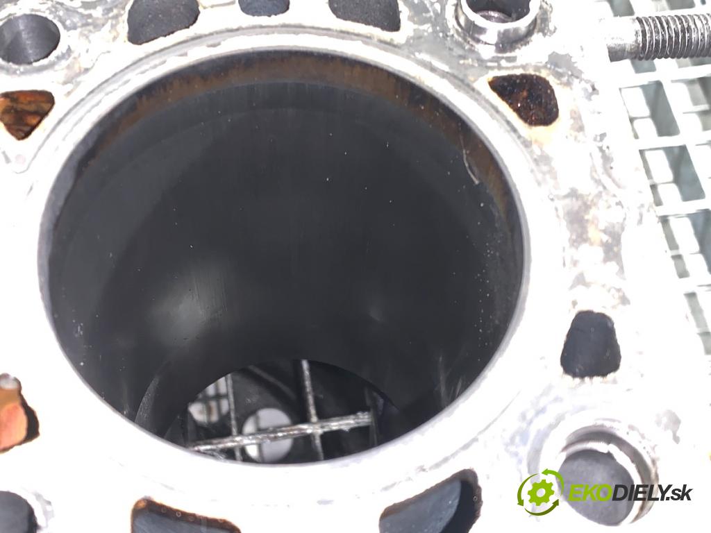 NISSAN QASHQAI J11 SUV 2014 96 kW 1.6 dCi 1598 blok Motor R9MA410 (Blok motora)