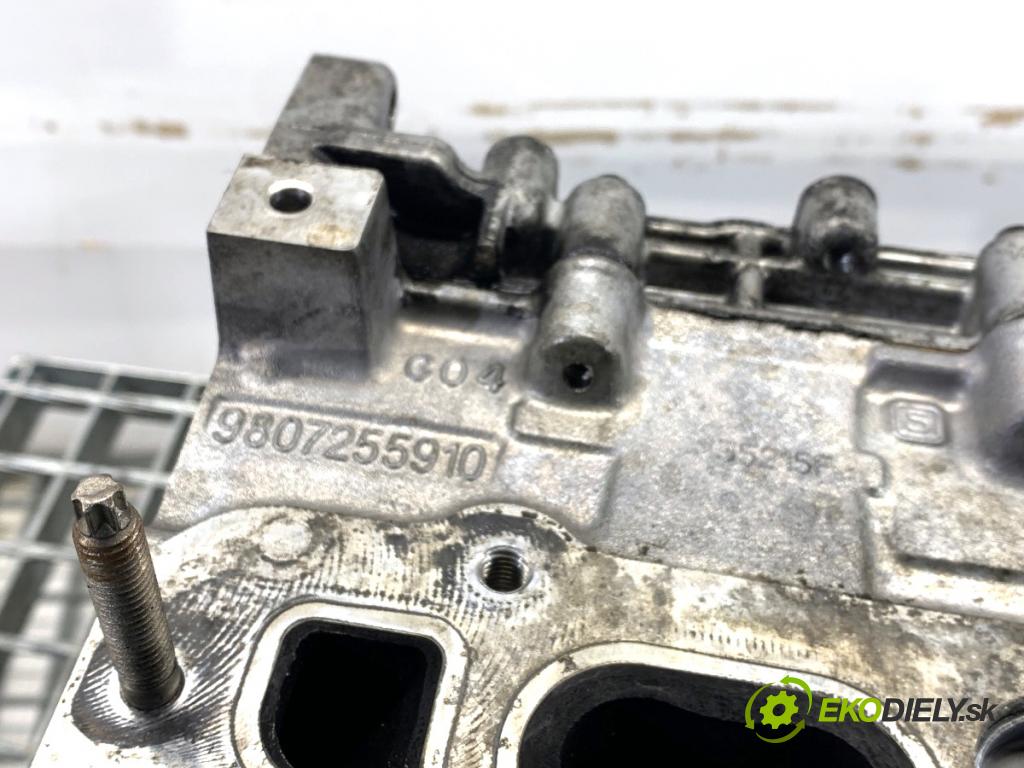 TOYOTA PROACE Autobus 2024 130 kW 2.0 D4d (MDZ6) 1997 hlava válců 9807255910 (Hlava válců)