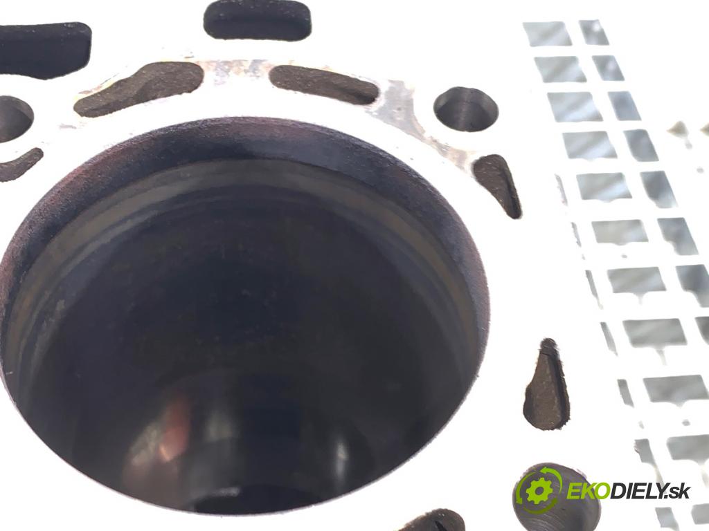 AUDI A4 B9 Kombi 2018 140 kW 2.0 TDI quattro 1968 blok Motor 03N023C (Blok motora)