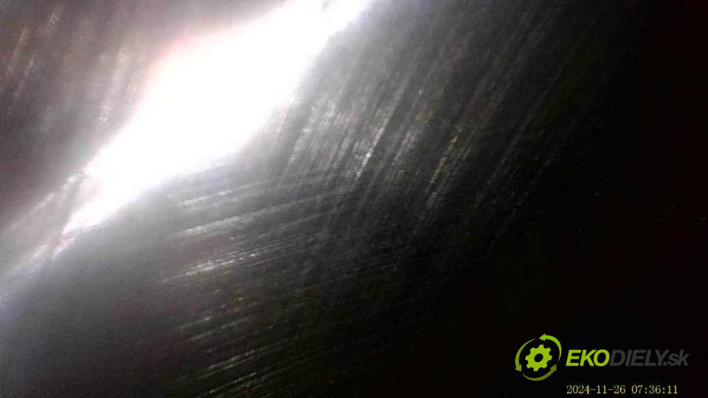 BMW F31 Kombi 2019 110 kW 318 d 1995 Motor B47D20A (Motor)