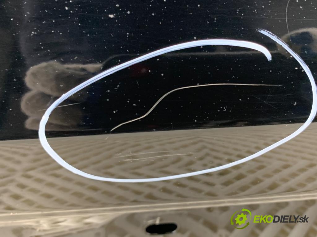 FORD ECOSPORT SUV 2018 108 kW 2.0 Flex 4x4 1999 Dvere ľavy predný