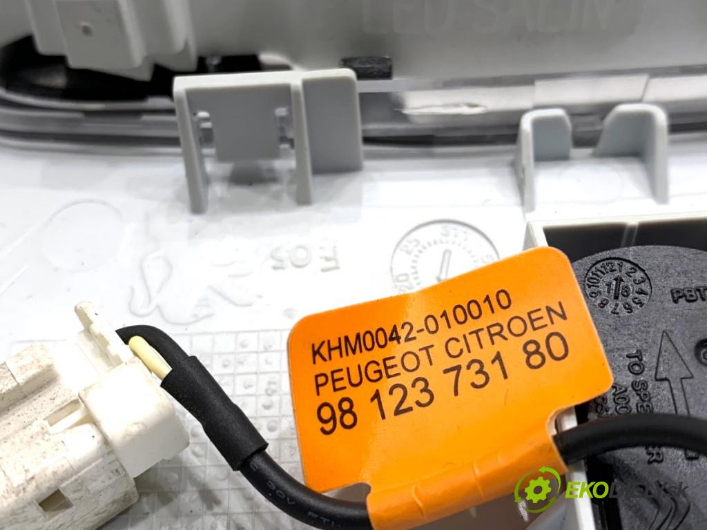 PEUGEOT 2008 I SUV 2016 96 kW 1.2 THP 130 / PureTech 130 1199 Svetlo stropné 96781445