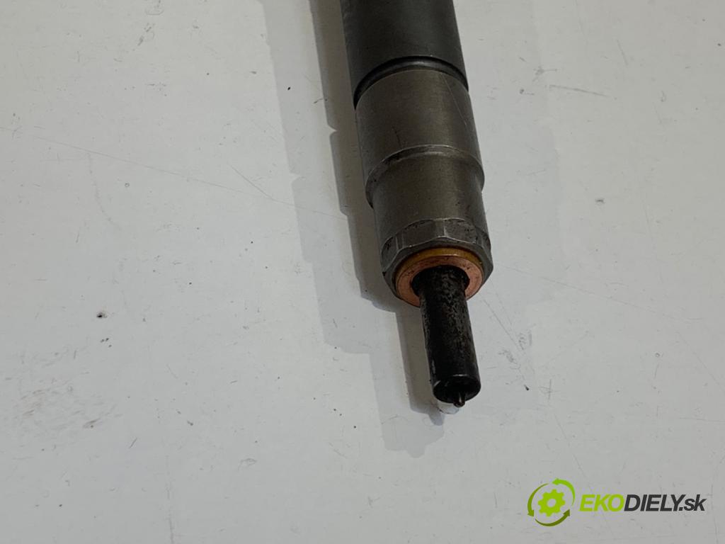 VW TIGUAN SUV 2011 100 kW 2.0 TDI 4motion 1968 vstrekovač 0445110369 (Vstrekovač paliva)