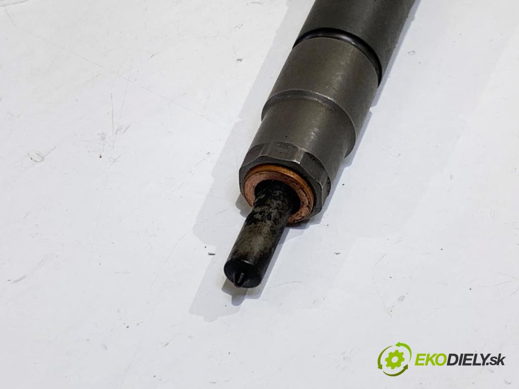 VW TIGUAN SUV 2011 100 kW 2.0 TDI 4motion 1968 vstrekovač 0445110369 (Vstrekovač paliva)