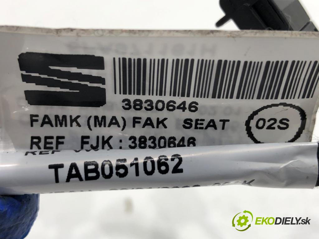 CUPRA FORMENTOR SUV 2023 228 kW 2.0 TSI 4Drive 1984 Káblovačka Dvere zad pravy