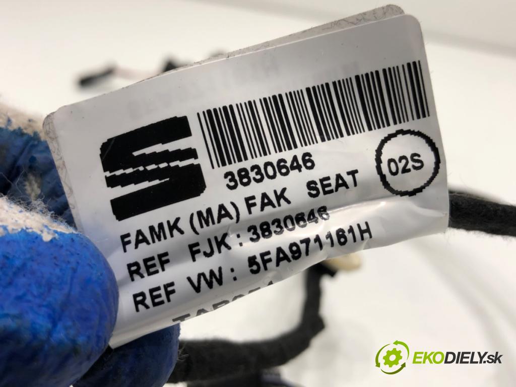 CUPRA FORMENTOR SUV 2023 228 kW 2.0 TSI 4Drive 1984 Káblovačka Dvere zad ľavy 5FA971161H