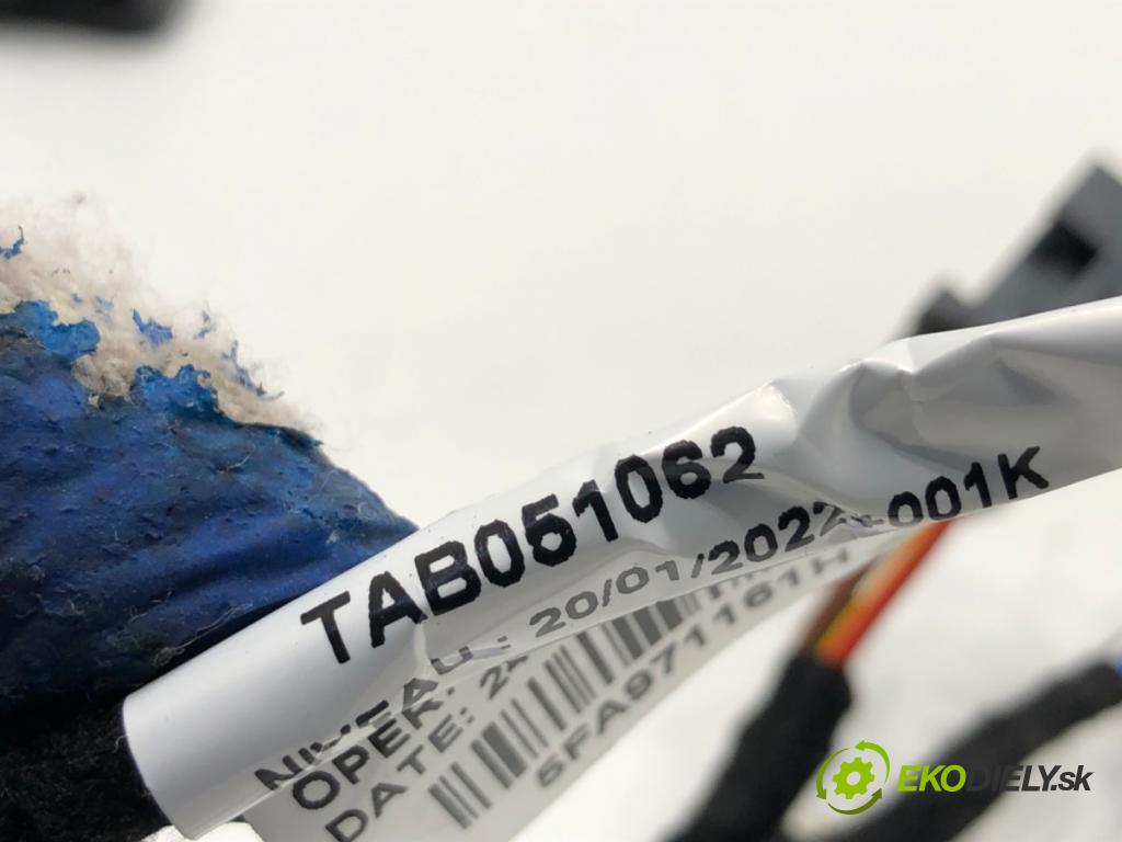 CUPRA FORMENTOR SUV 2023 228 kW 2.0 TSI 4Drive 1984 Káblovačka Dvere zad ľavy 5FA971161H