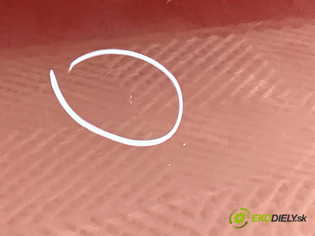 BMW G02 SUV 2023 140 kW xDrive 20 d 1995 Dvere ľavy predný