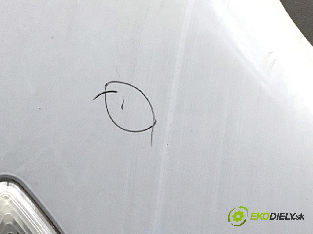 RENAULT KANGOO II nadwozie wielkoprzestrzenne (MPV) 2009 50 kW 1.5 dCi 70 (KW0V, KW0A) 1461 Blatník pravy predný