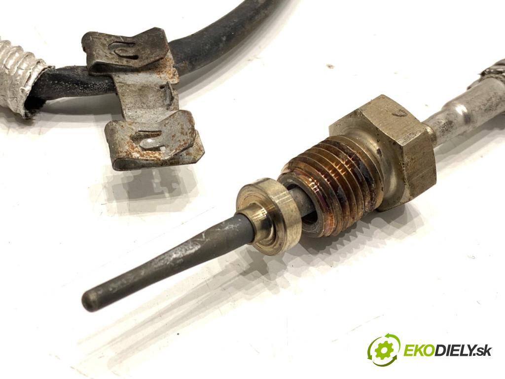 CUPRA FORMENTOR SUV 2023 228 kW 2.0 TSI 4Drive 1984 Snímač teploty spalín 06Q919519R (Snímač)