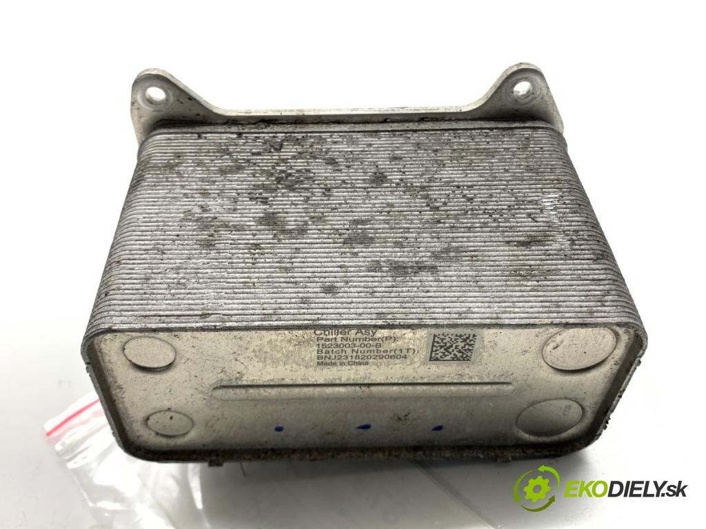 TESLA MODEL Y SUV 2023 235 kW EV 0 topné těleso radiátor topení 1523003-00-B (Radiátor topení)