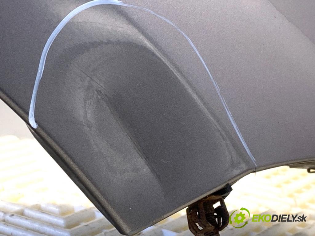RENAULT MEGANE III coupe 2011 96 kW 1.4 TCe (DZ0F, DZ1V) 1397 Blatník pravy predný TEKNG