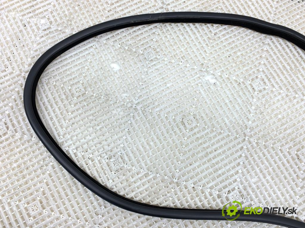 BMW F11 Kombi 2011 190 kW 530 d xDrive 2993 tesnenie Dvere predný pravá