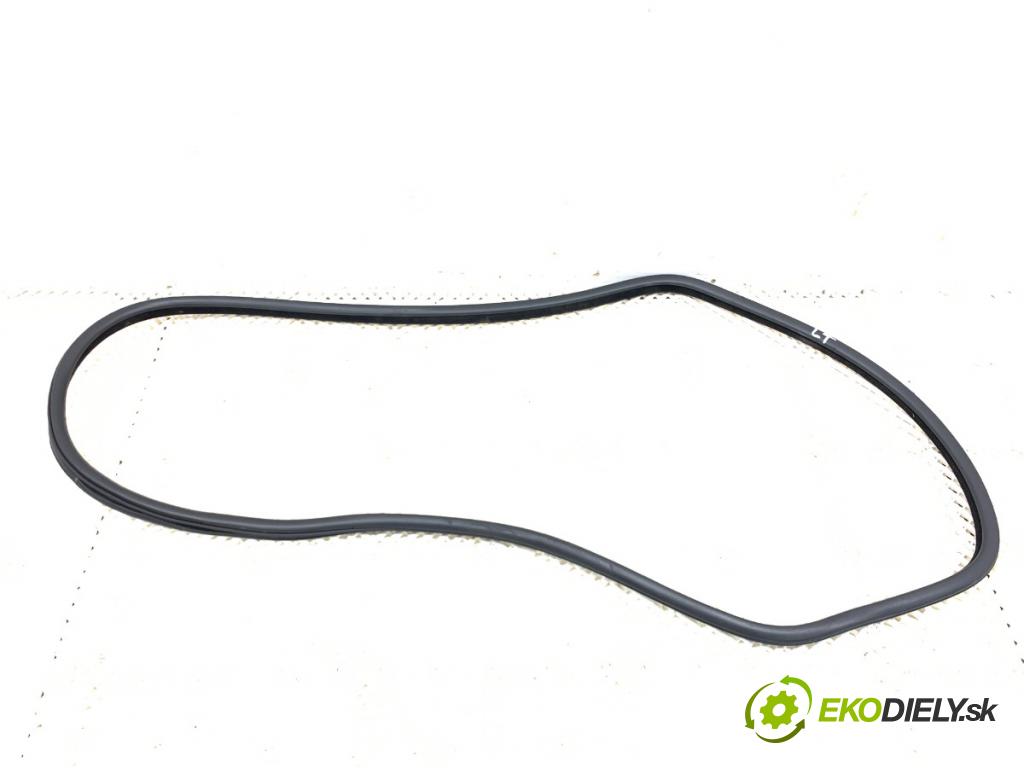 BMW F11 Kombi 2011 190 kW 530 d xDrive 2993 těsnění dveře zadní část levá strana  (Karoserie ostatní)