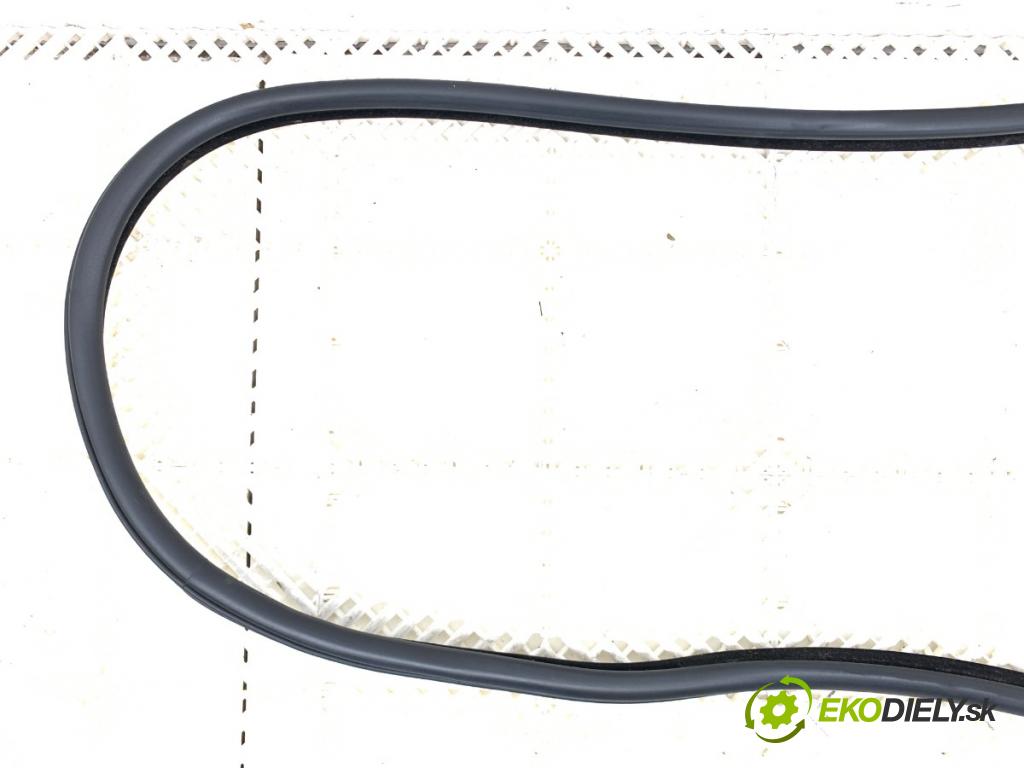 BMW F11 Kombi 2011 190 kW 530 d xDrive 2993 tesnenie Dvere zad ľavá strana  (Karoséria ostatné)