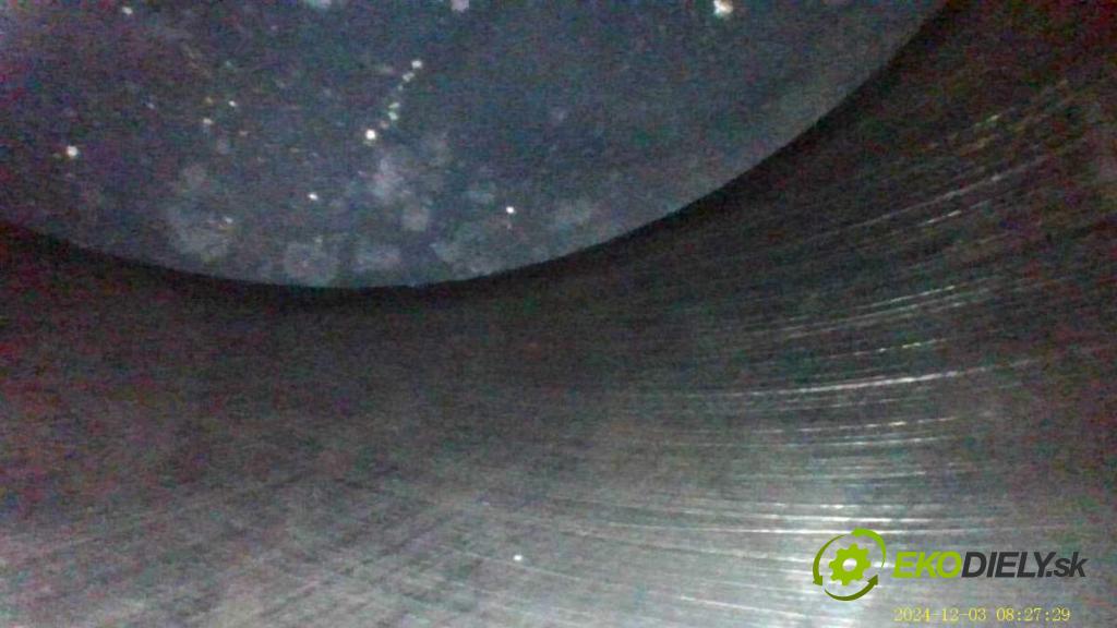 BMW F31 Kombi 2019 110 kW 318 d 1995 Motor B47D20A (Motor)