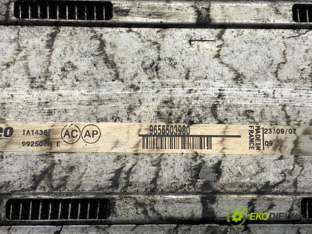 CITROEN C4 PICASSO I nadwozie wielkoprzestrzenne (MPV) 2007 80 kW 1.6 HDi 1560 intercooler 9656503980 (Intercooler (chladič nasávaného vzduchu))
