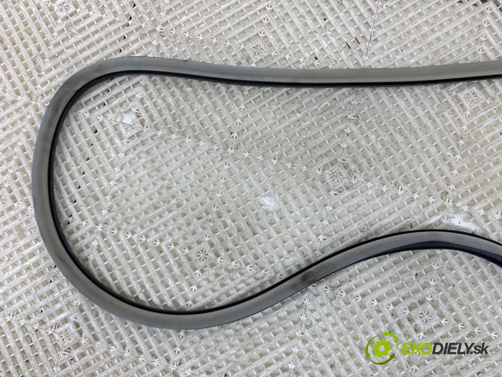 CITROEN C5 III sedan 2010 103 kW 2.0 HDi 140 1997 tesnenie Dvere predný pravá