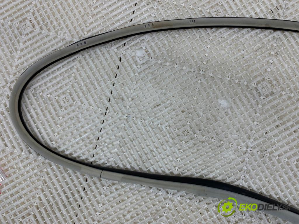 CITROEN C5 III sedan 2010 103 kW 2.0 HDi 140 1997 tesnenie Dvere predný ľavá strana