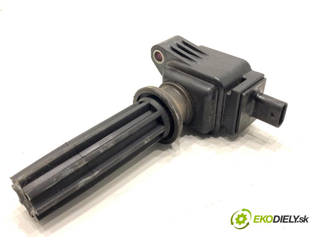 FORD ECOSPORT SUV 2018 108 kW 2.0 Flex 4x4 1999 Cievka zapaľovacia CM5E-12A366-CB (Zapaľovacia cievka)