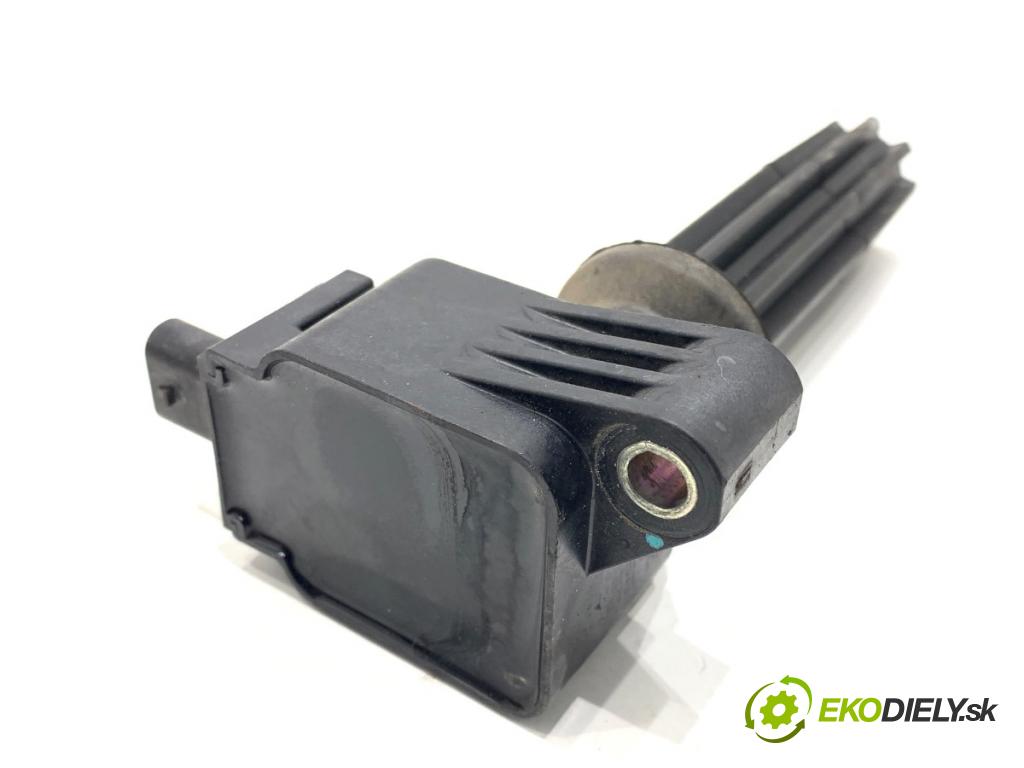 FORD ECOSPORT SUV 2018 108 kW 2.0 Flex 4x4 1999 Cievka zapaľovacia CM5E-12A366-CB (Zapaľovacia cievka)